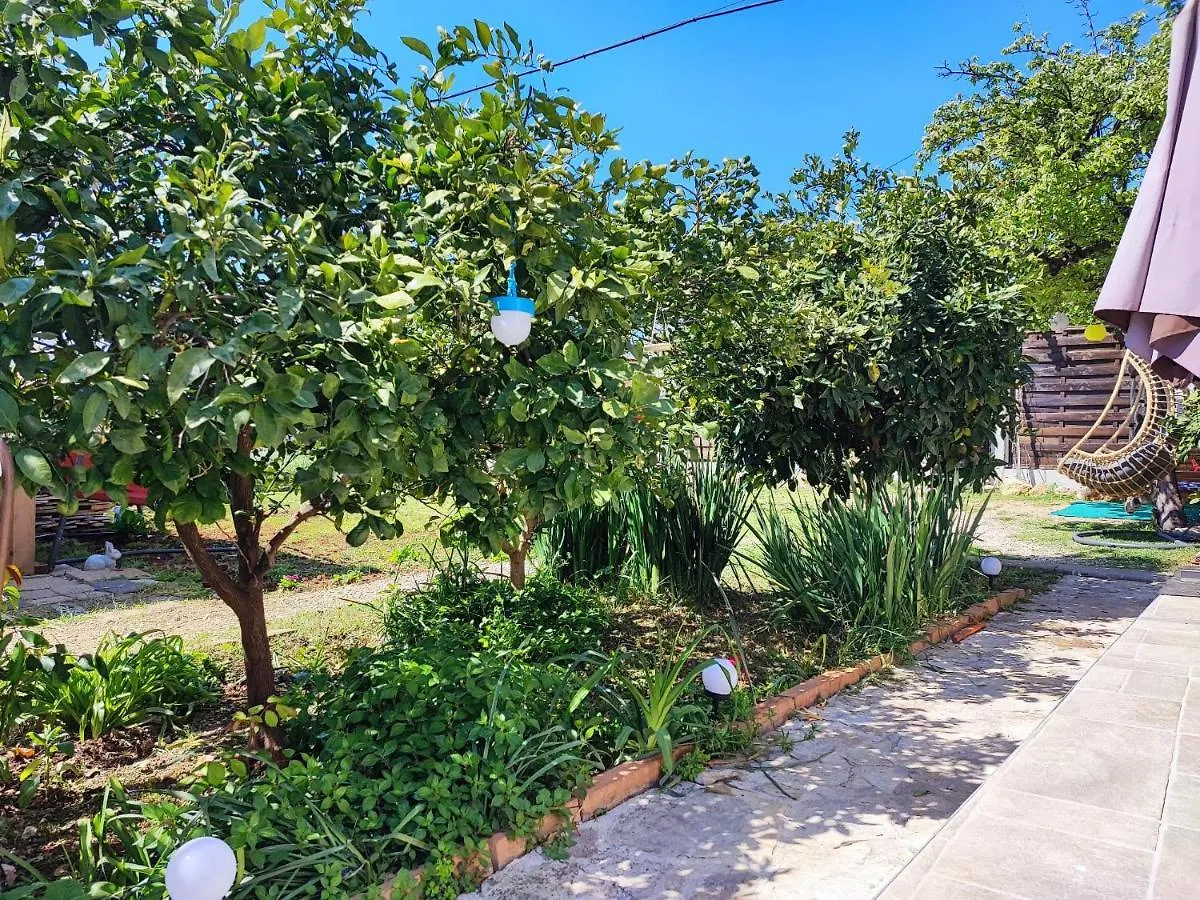 Apartment Kimano Apartmans Zadar Croatia